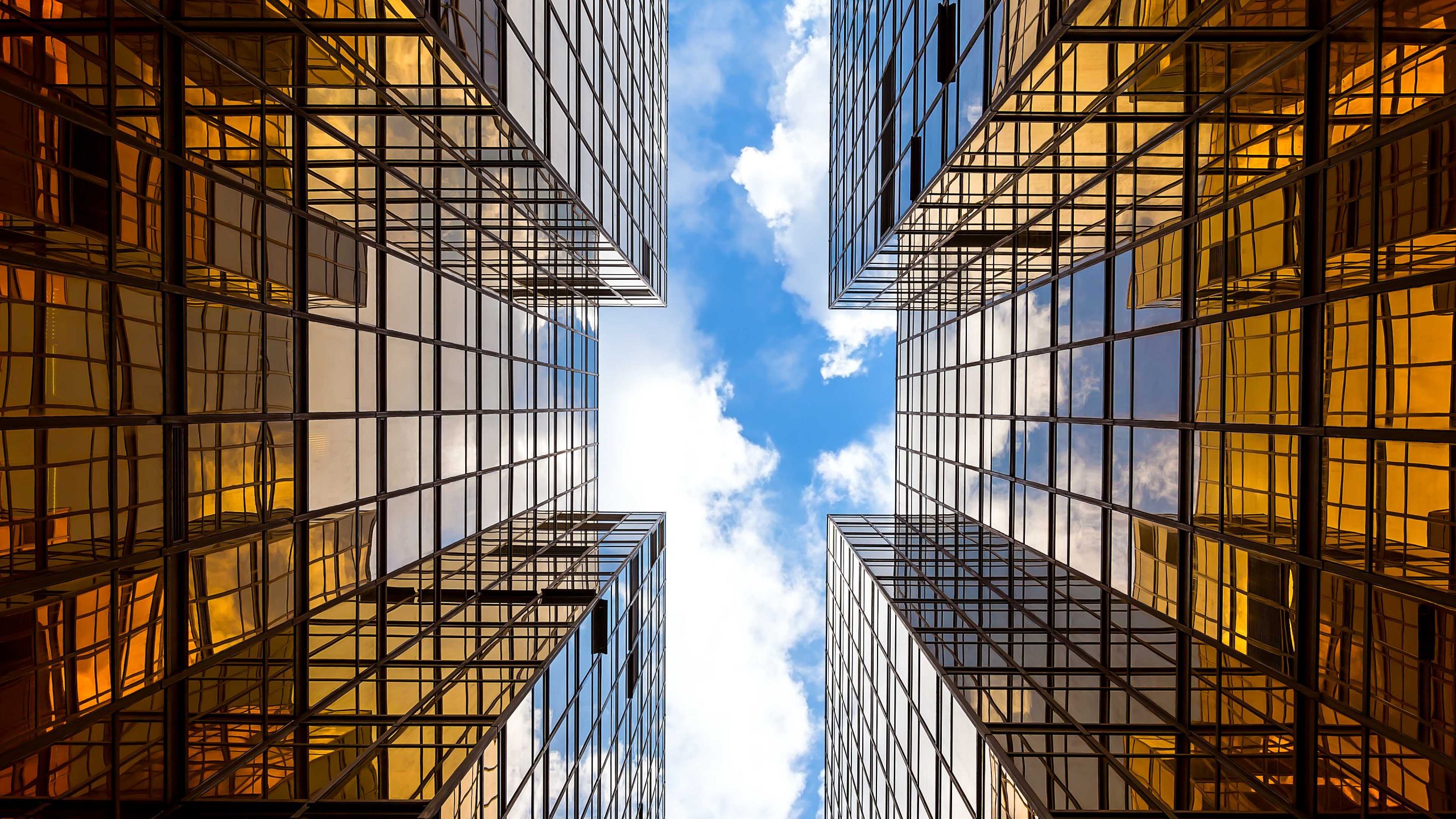 4189074-0-07197900-1782406916-it-infrastructure-shutterstock_313145102